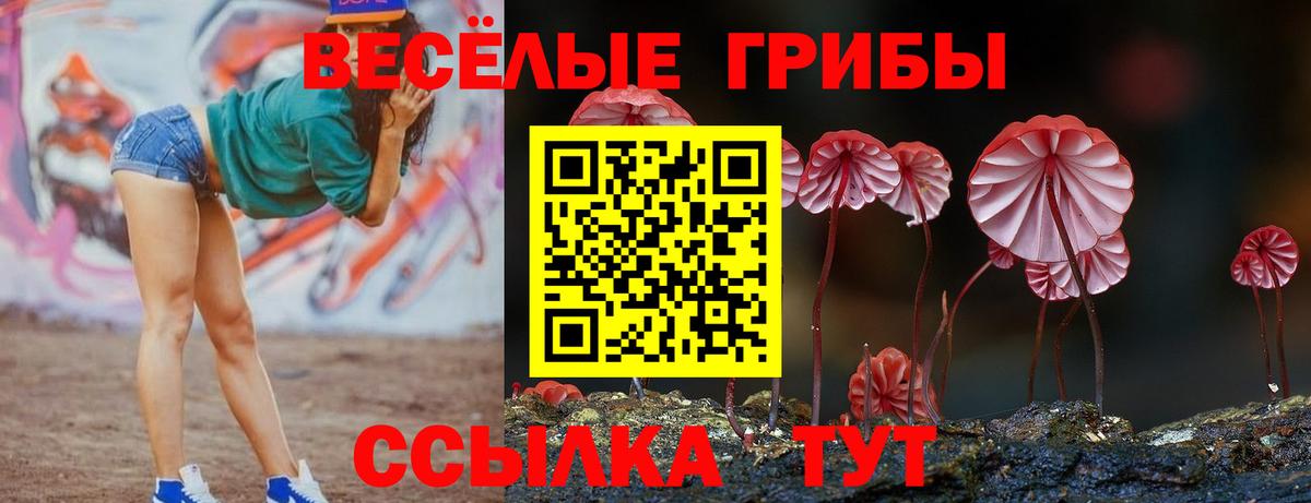 Псилоцибиновые грибы мицелий  купить  сайты  Пенза  Вход с VPN 