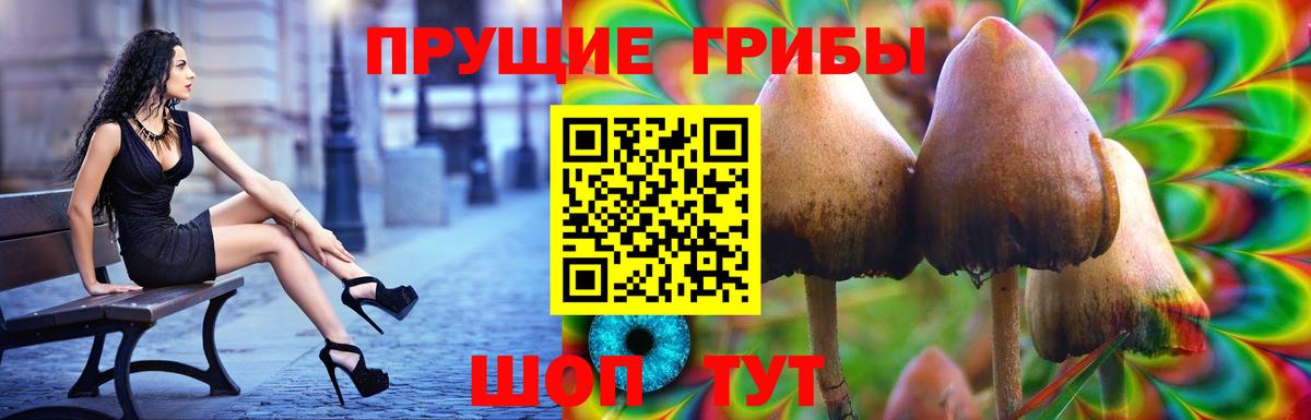 Галлюциногенные грибы Cubensis Пенза